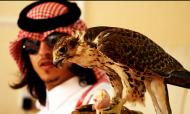 الصورة الرمزية The.FalCon