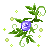 Ty14